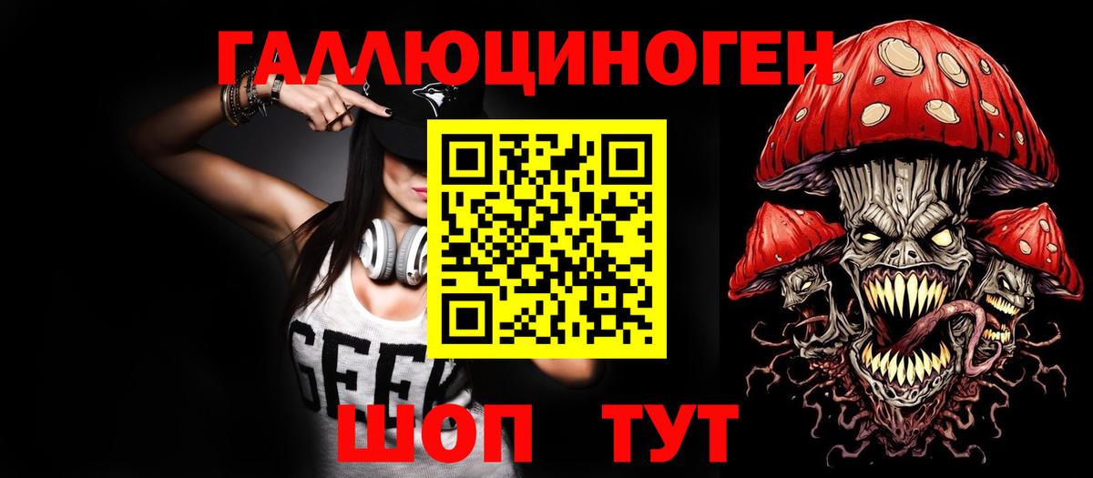 Псилоцибиновые грибы Psilocybe Губкинский