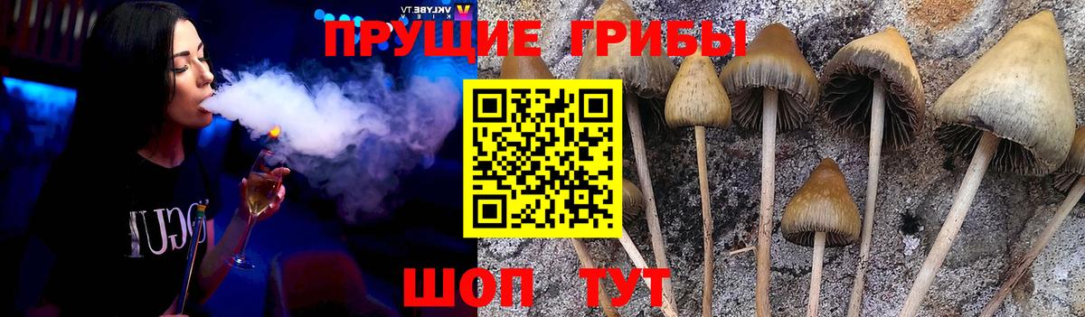 Губкинский  Галлюциногенные грибы GOLDEN TEACHER  Вход с VPN 